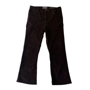 NYDJ pants 14 Boot cut Flare Corduroy Dark brown Velour Velvet Womens Stretch